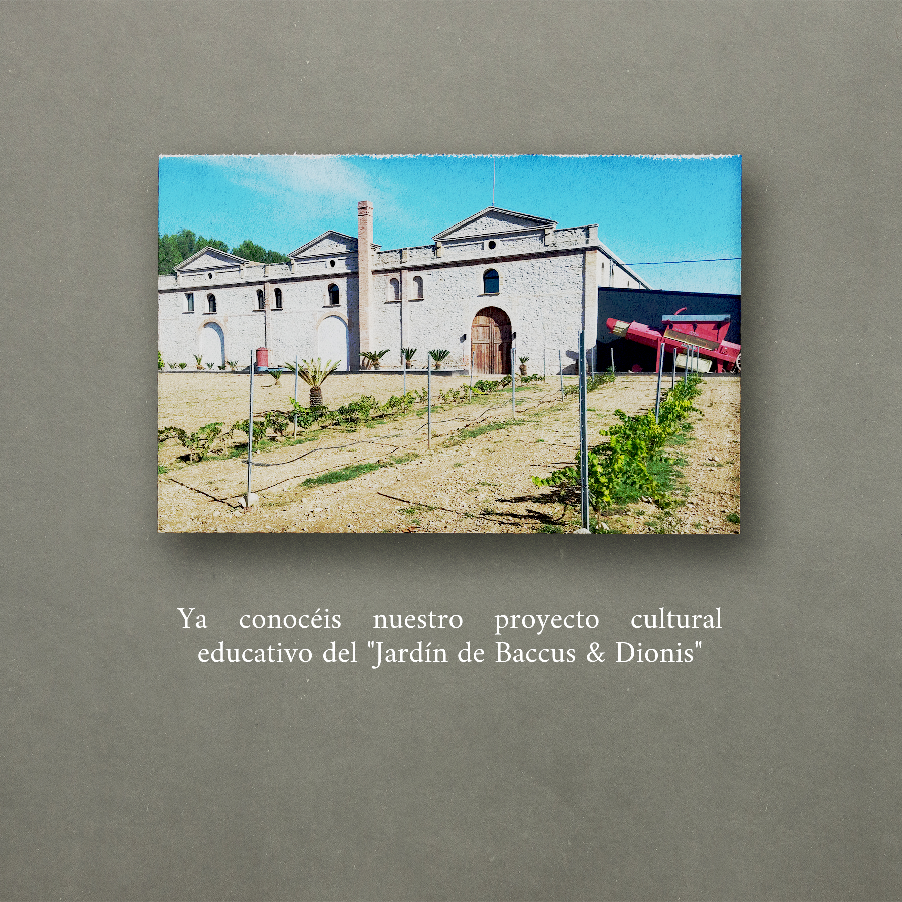 Proyecto cultural educativo del «Jardín de Baccus& Dionis»