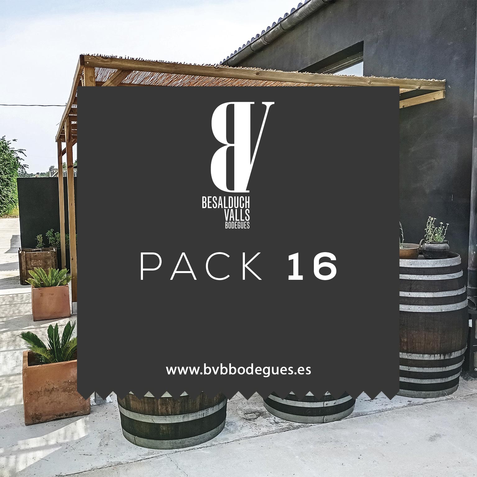 Pack Enoturismo 16