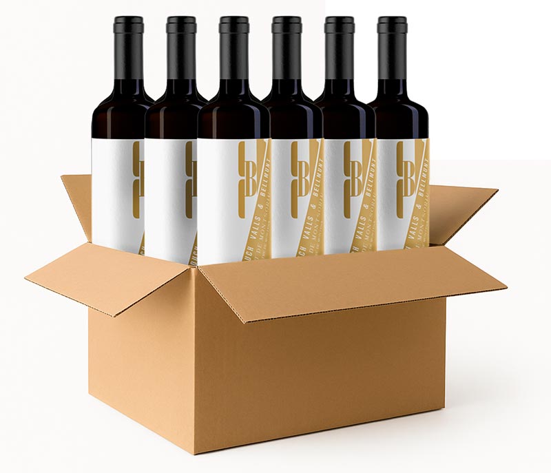Caja 6 botellas Gilbert de Montsoriu