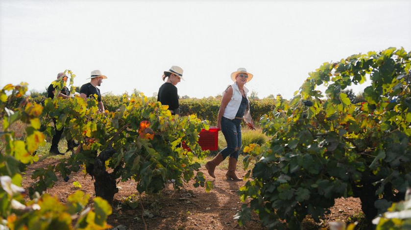 La serie ‘Enológica’ dedica su nuevo capítulo a los vinos de Castellón