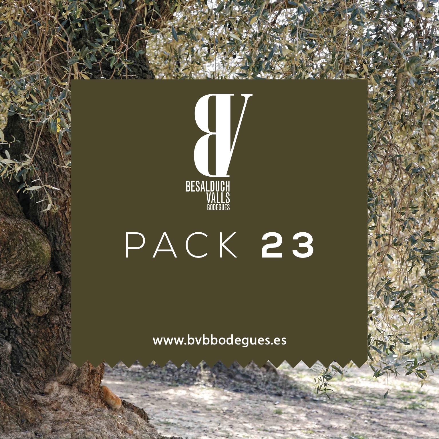 Pack Enoturismo 23